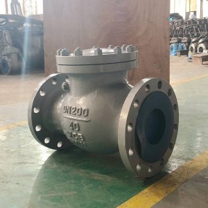 Din check valve