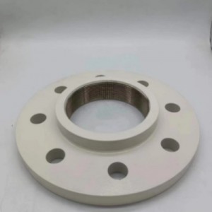 Anticorrosion Flange