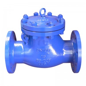 Din check valve