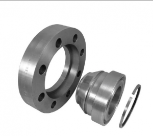 Swivel-ring Flange