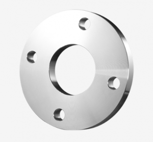 Plate Flange